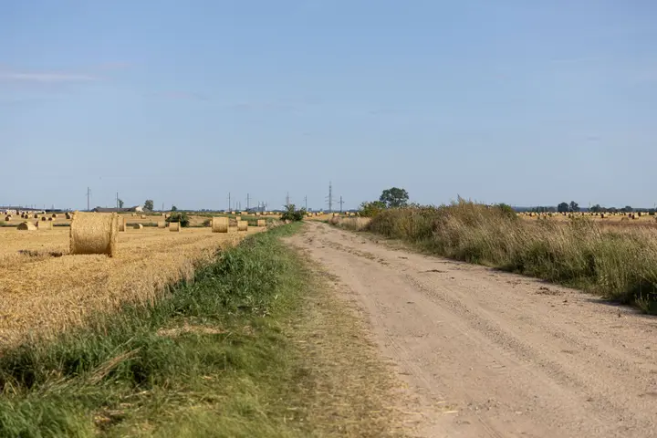 20260814PPEL0950_1408