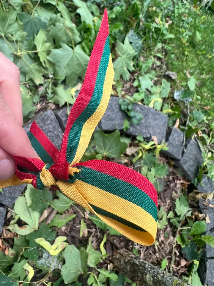 Trispalvės kaspinas/ Kas vyksta Kaune skaitytojo nuotr.