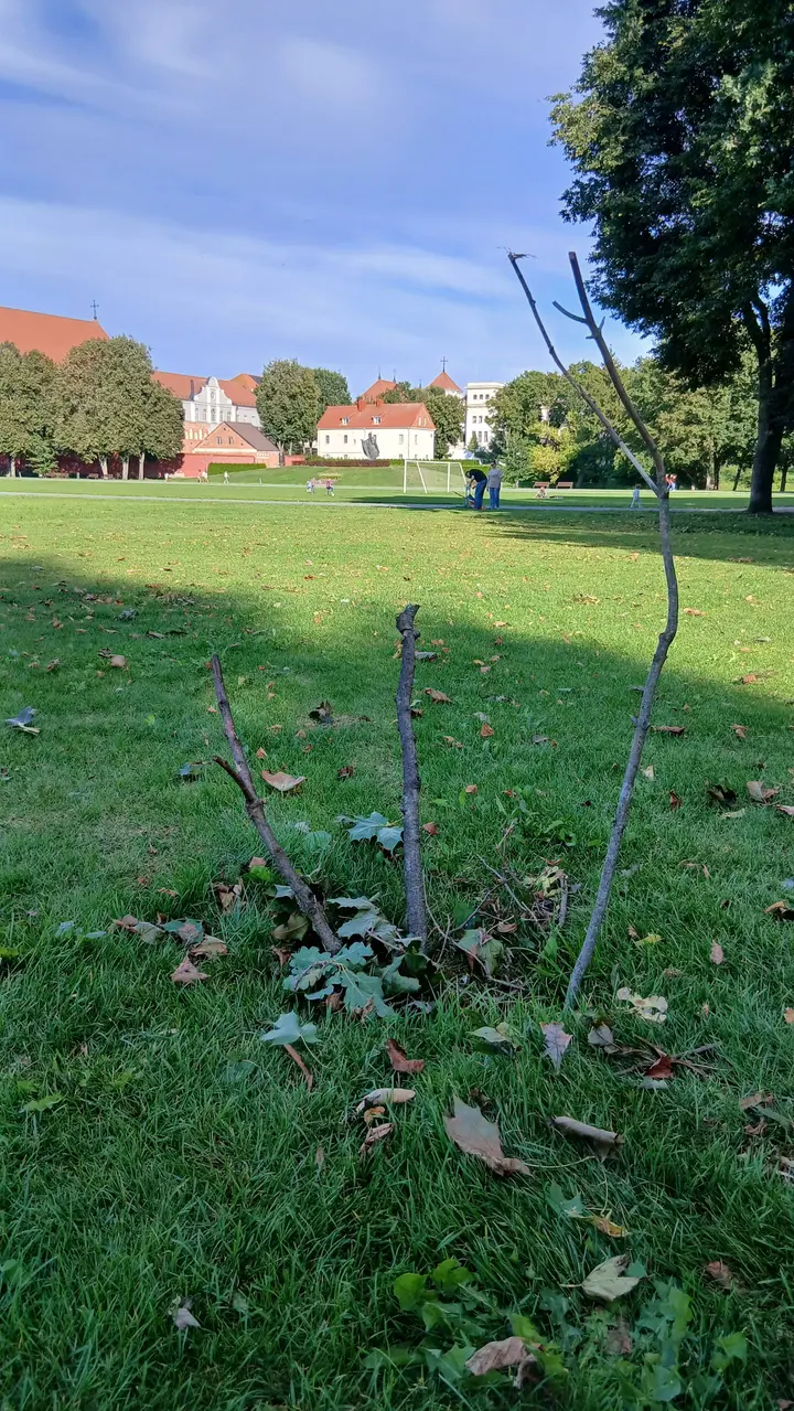 Duobė Santakos parke