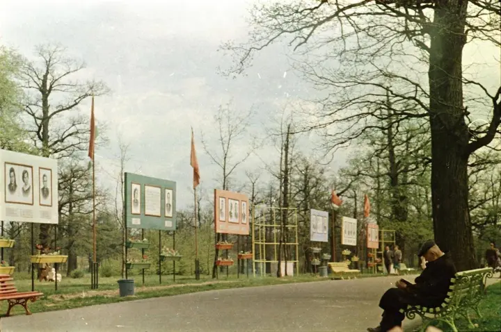 Garbės alėja Ąžuolyne su gamybininkų, racionalizatorių, visuomenininkų portretais. Fot. S. Lukošius, 1960 m. / Kauno miesto muziejaus fondai