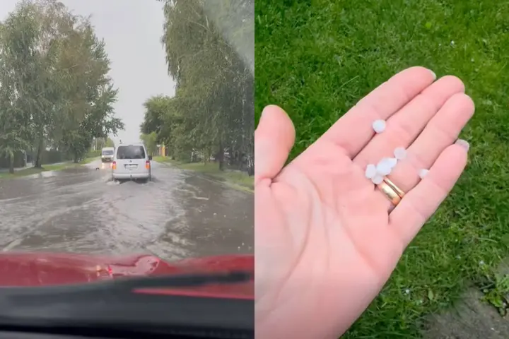 Patvinusios gatvės Kaune ir kruša rajone