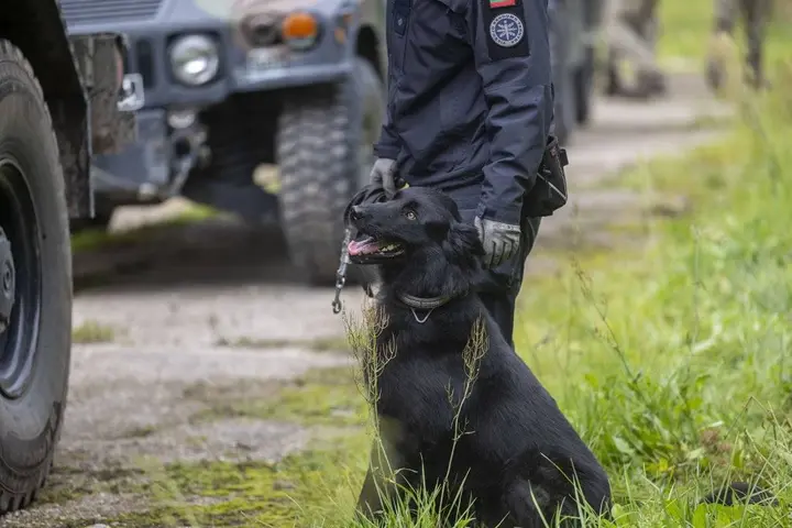 sprogmenų paieškos su tarnybiniais šunimis mokymai
