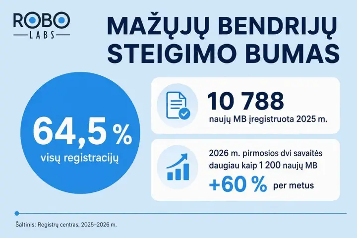 VMI patikrinimas / VMI nuotr.