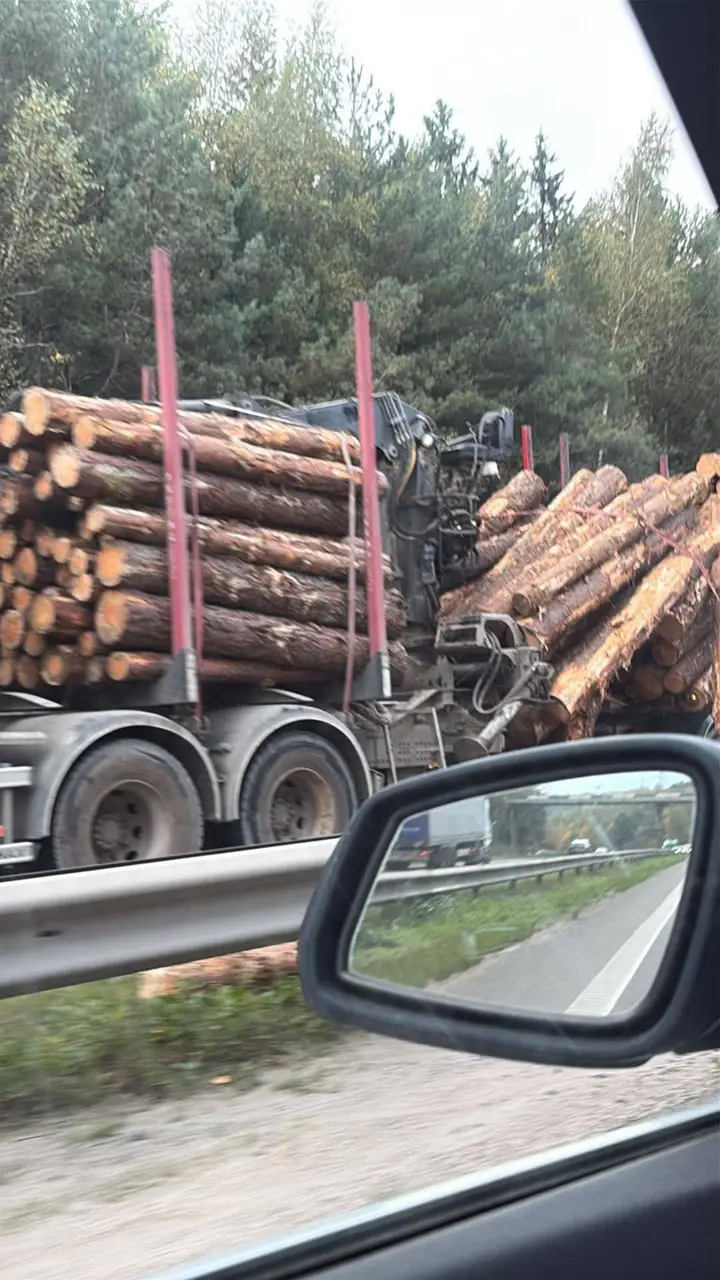 Iškritę rąstai/ „Kas vyksta Kaune" skaitytojo nuotr.