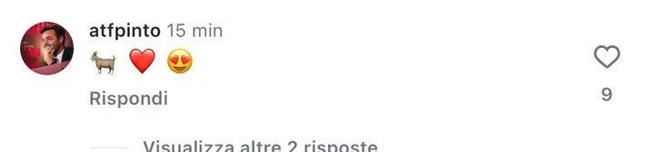 pinto