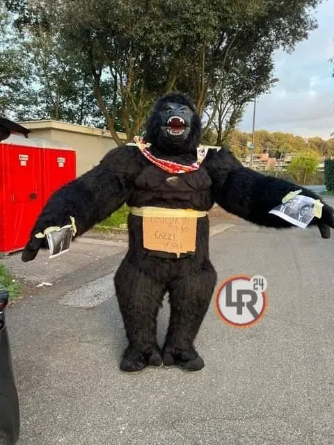 king kong trigoria 2