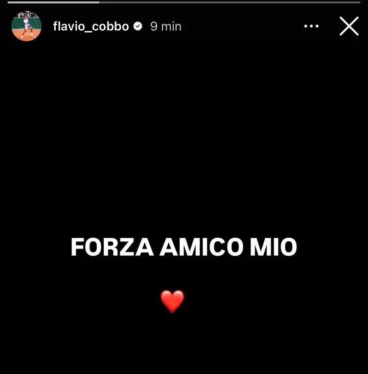 cobolli bove ig