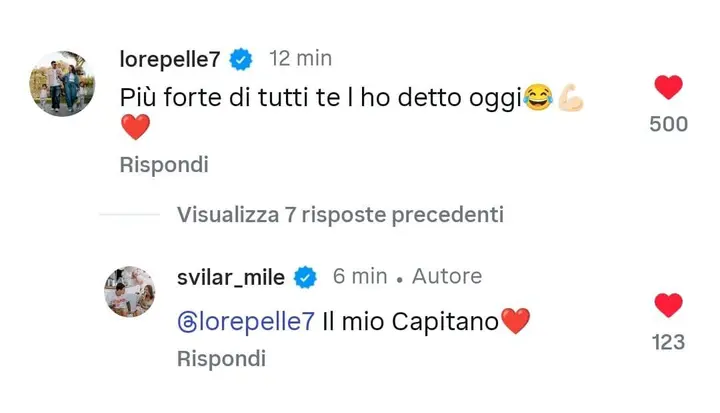 pellegrini svilar