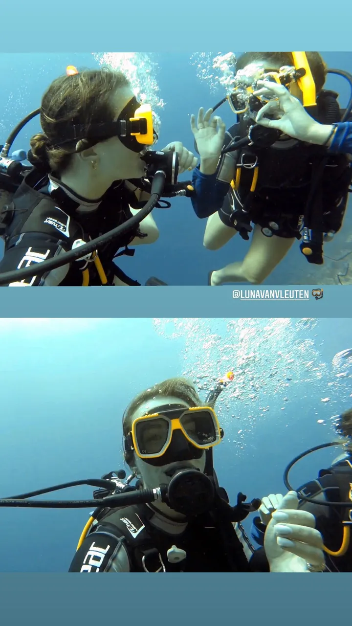 258849208 124524580089908 4360875731441038858 n