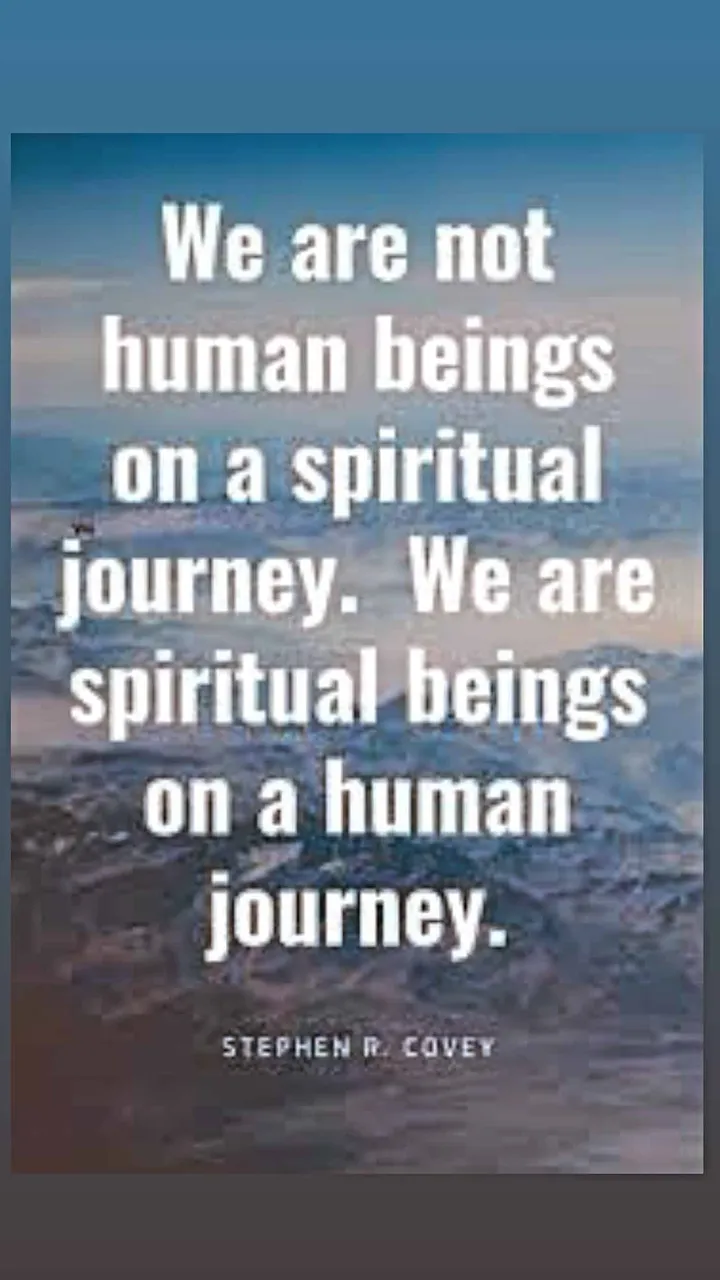 271185433 1352986681839113 1217810214976969555 n