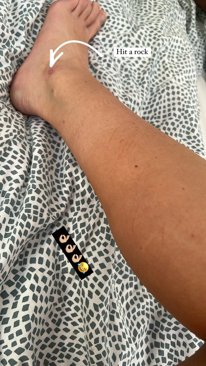 273017065 646077773104590 946669574322867385 n