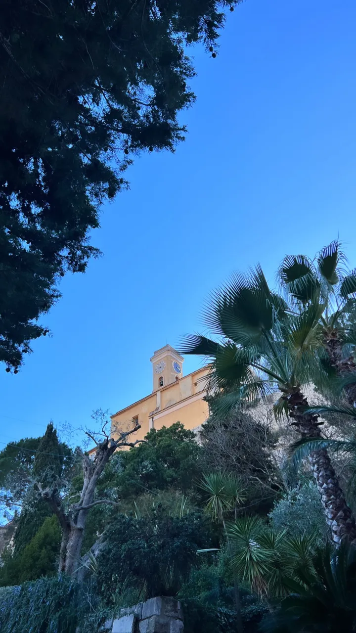 273601032 316041967147763 5516774480971720473 n