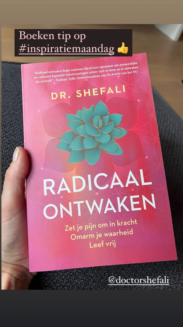 277819947 525144055892522 4725202415696947088 n