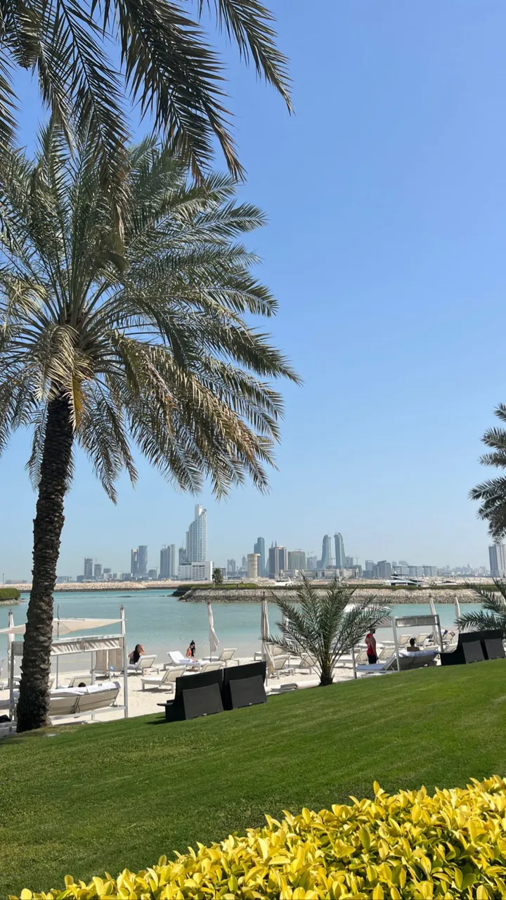 334161221 1212079432741437 6235174317211923393 n