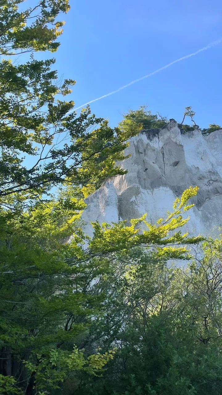 bridgetmaasland 299401683 395158636082866 3623944487213365621 n