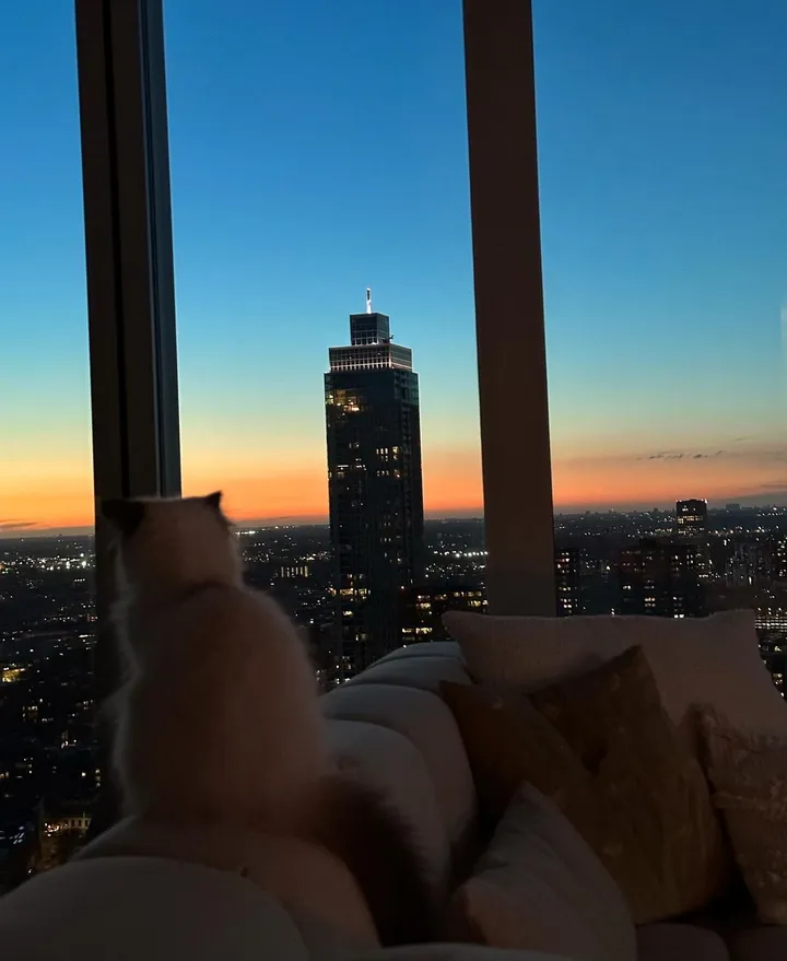 de poes van juultje tieleman