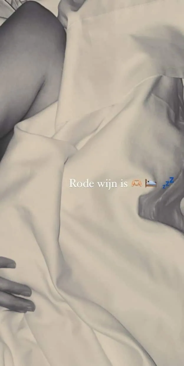 juultjetieleman 1709764464 3318067315793553220 52643611 1