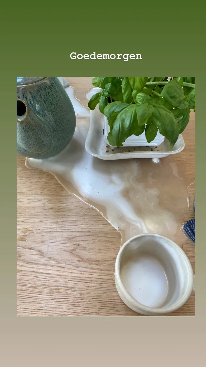 leonieterbraak 276320959 297855072456983 6418686000056823764 n 1