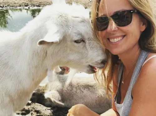 marianne thieme stopt