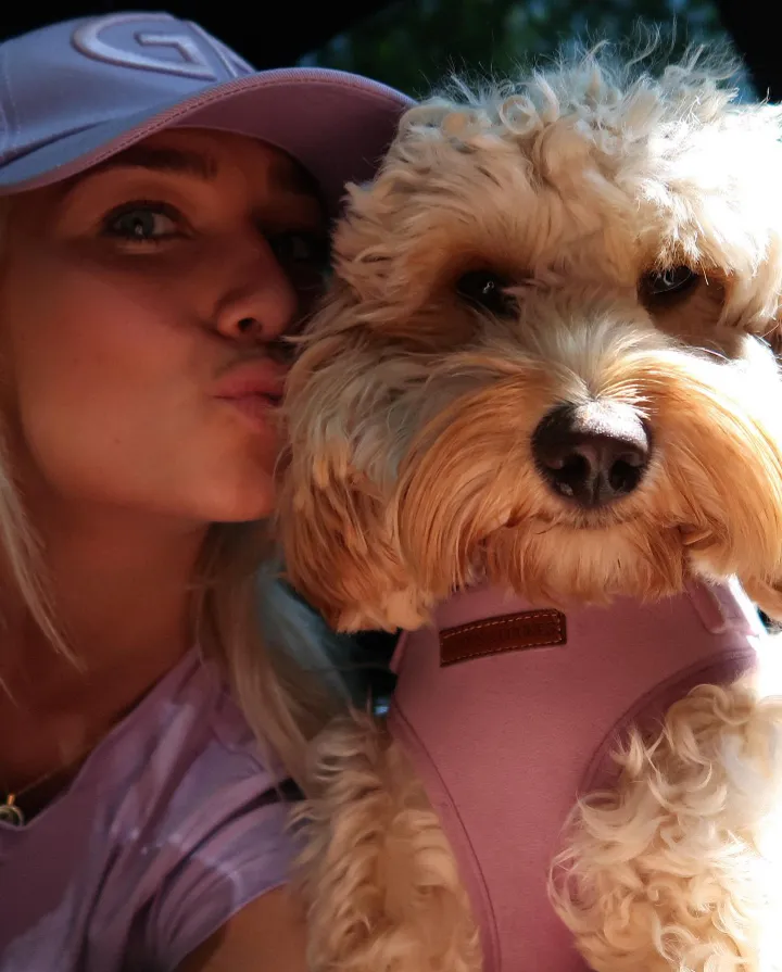 noavdbij 1686487556 3122806419652512162 207998145