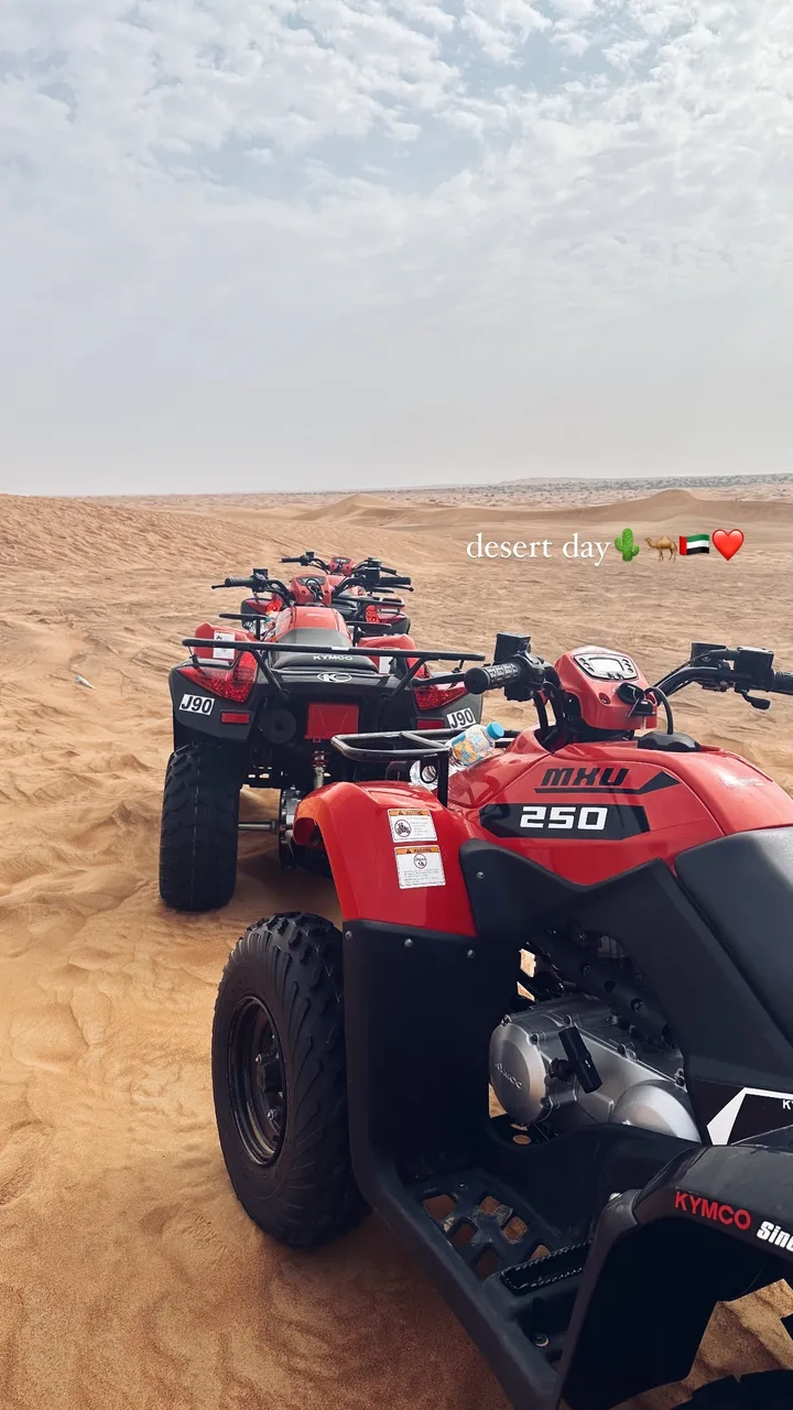 pien hersman in de woestijn