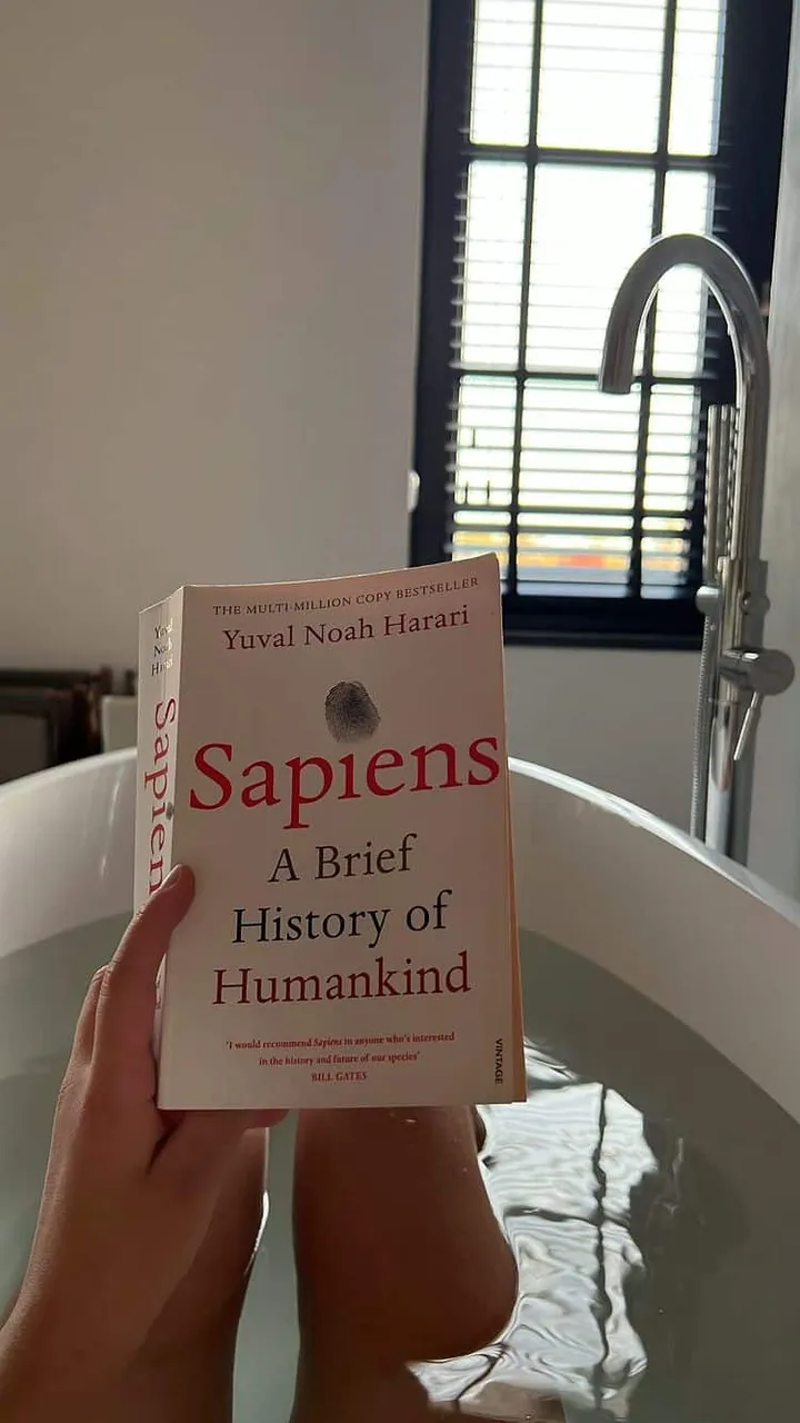 puckmoonen 278534453 371687254873055 4088637441766774328 n