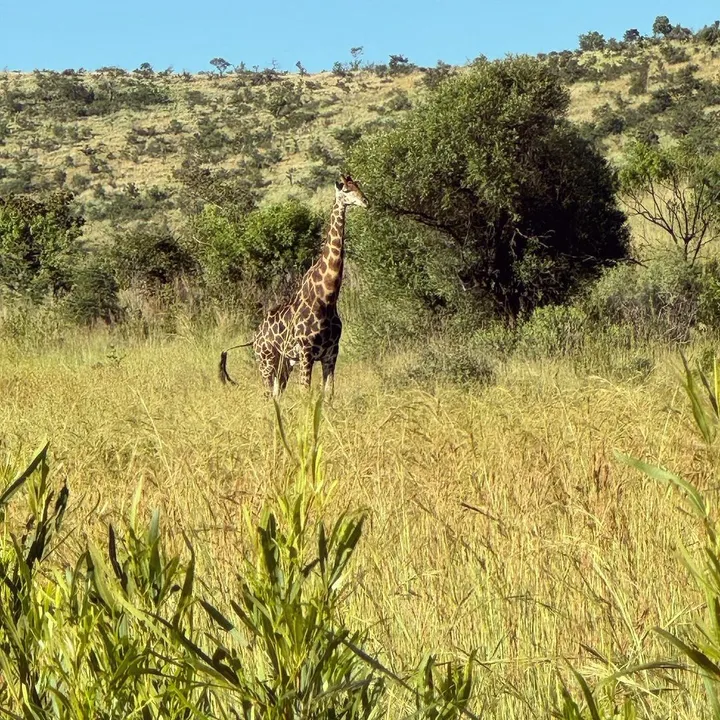 snapinstaapp 408970817 1680414342485957 4417780539433481479 n 1080