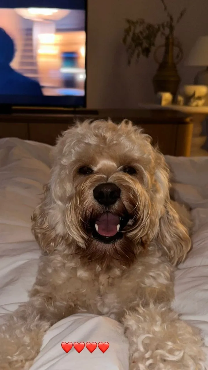 unknown 311970560 677978033527608 1666800704459726074 n