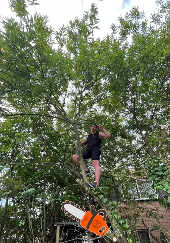 rico verhoeven deelt foto wanneer hij in een boom klimt