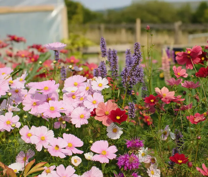 schermafbeelding 2024 10 02 111849