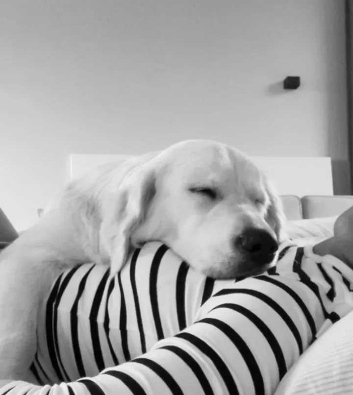 snapinstaapp 449670367 25799990262978999 8114397681575644753 n 1080