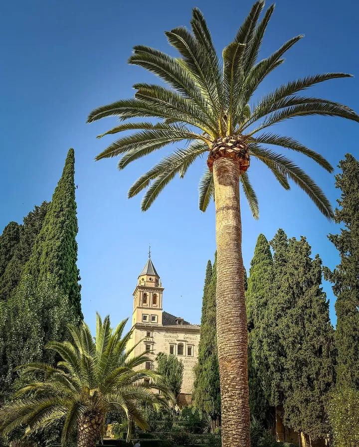 snapinstaapp 450185627 18349534312115409 2622942640288338271 n 1080