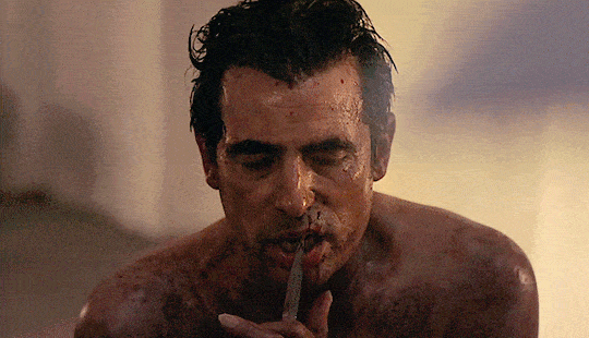 tumblr fd2d5d30c7c96736aba1d97a04945e1b 7a77da01 540