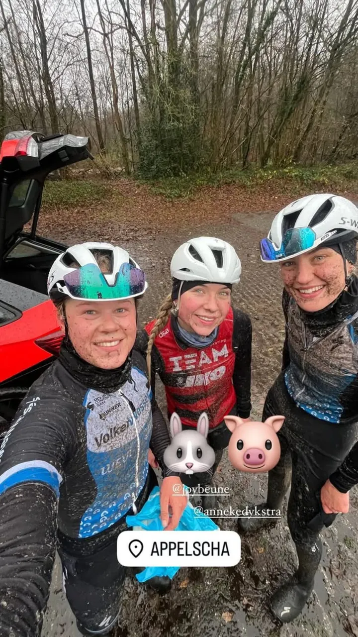 joybeune 3516459284565751185 1