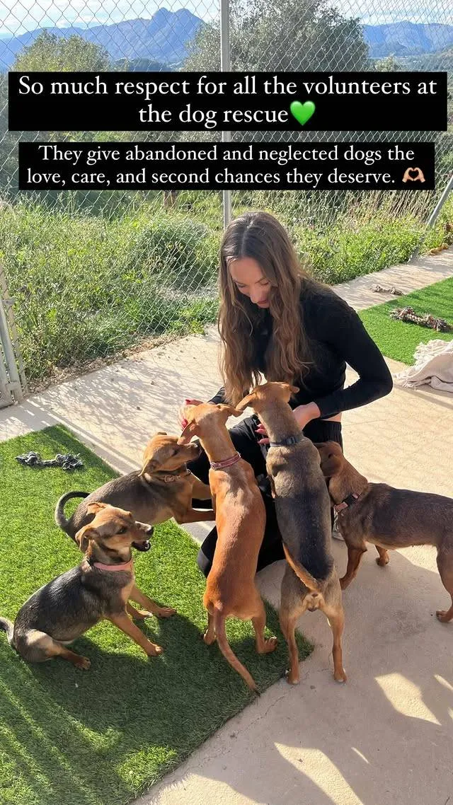 femke kok hond