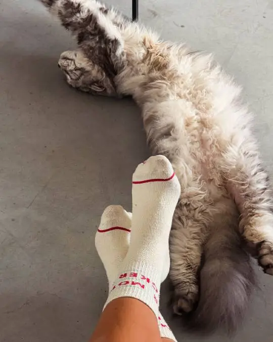 Puck Moonen kat 2