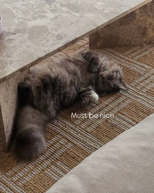 Puck Moonen kat 3