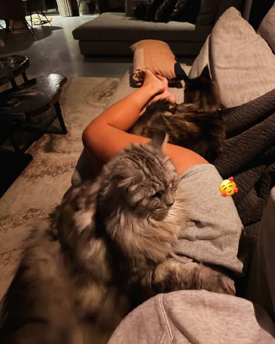 Puck Moonen kat