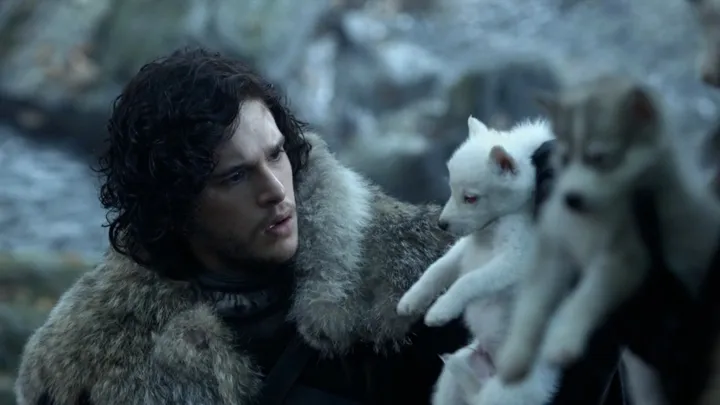 game of thrones jon snow and ghost