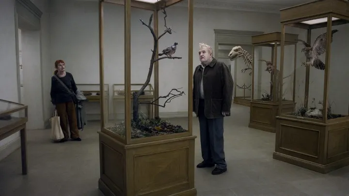 a pigeon sat on a branch reflecting on existence 51000059 st 5 s low