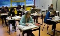column lianne
