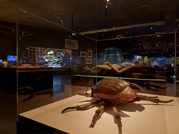 david20cronenberg20 20the20exhibition20 c2aestudiohanswilschuteyefilm2013