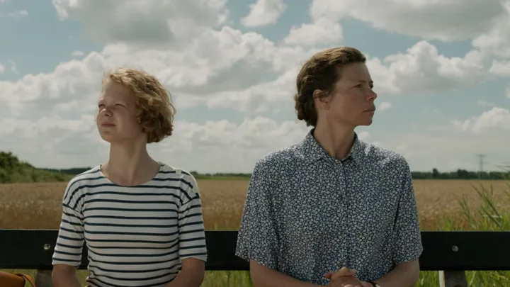 dorsvloer vol confetti 43008733 st 6 s low