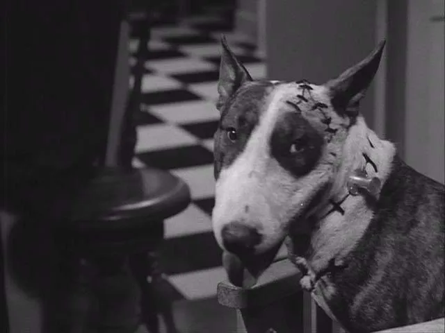 frankenweenie1