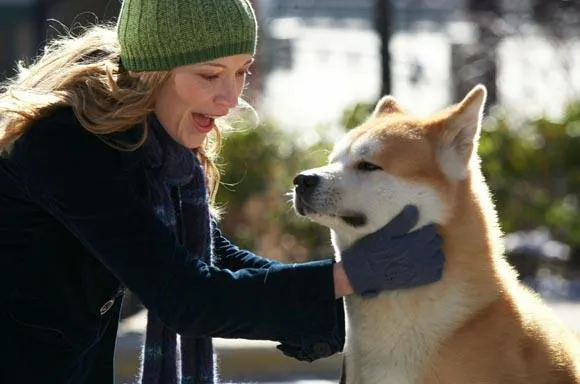 hachi 1