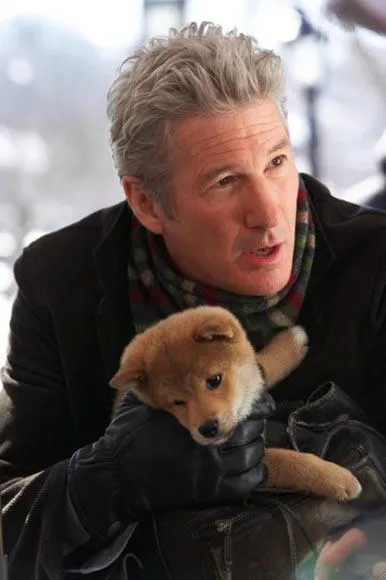 hachi 2