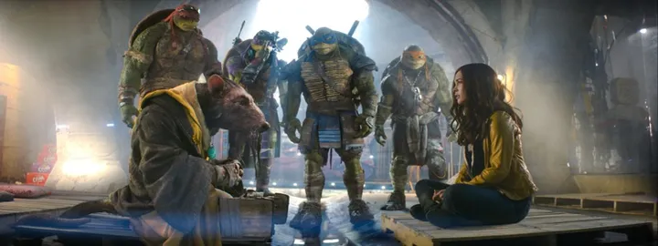 ninja turtles 02035618 st 14 s low
