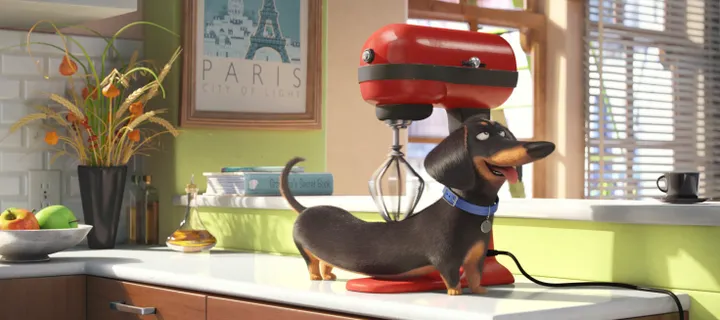 secret lives of pets still 1