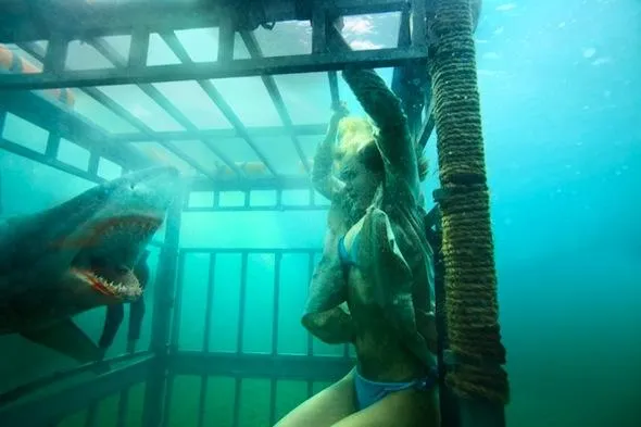 shark night 3d 3