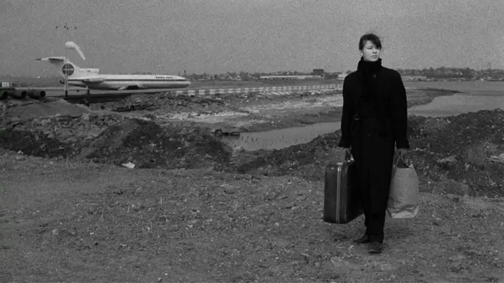 stranger than paradise 2